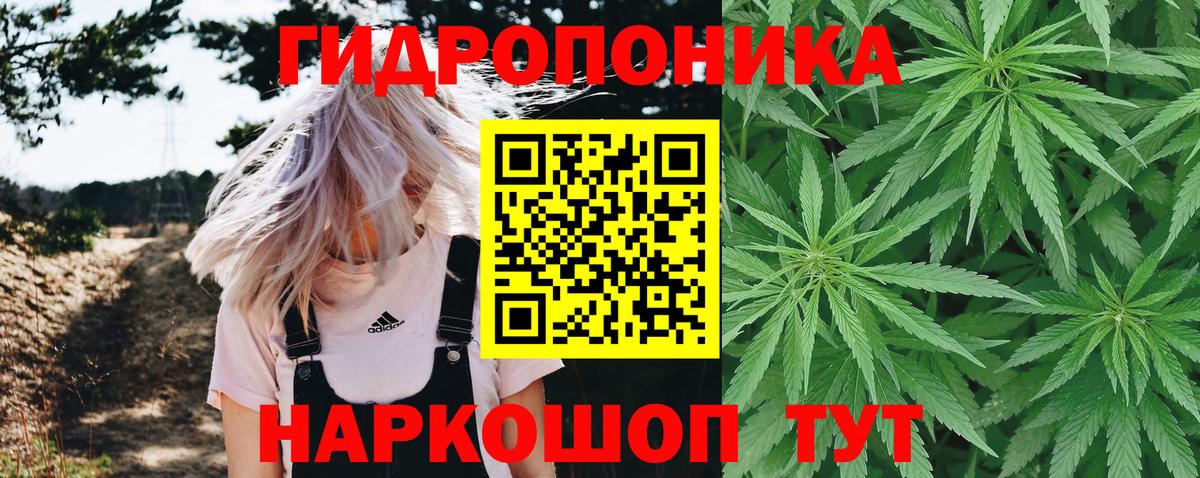 Чебаркуль  Марихуана OG Kush  Вход с VPN  Шишки марихуана конопля  Бошки марихуана White Widow 